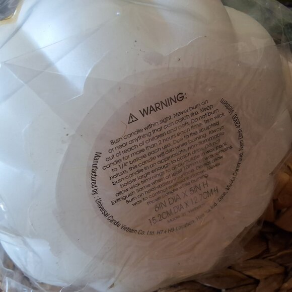 NWT White Pumpkin CANDLE - Picture 5 of 5